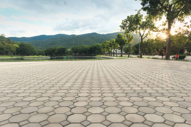 Best Residential Paver Driveway  in Covington, WA